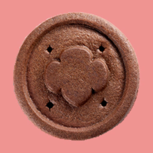 New Exploremores Girl Scout Sandwich Cookie joins 2026 line up